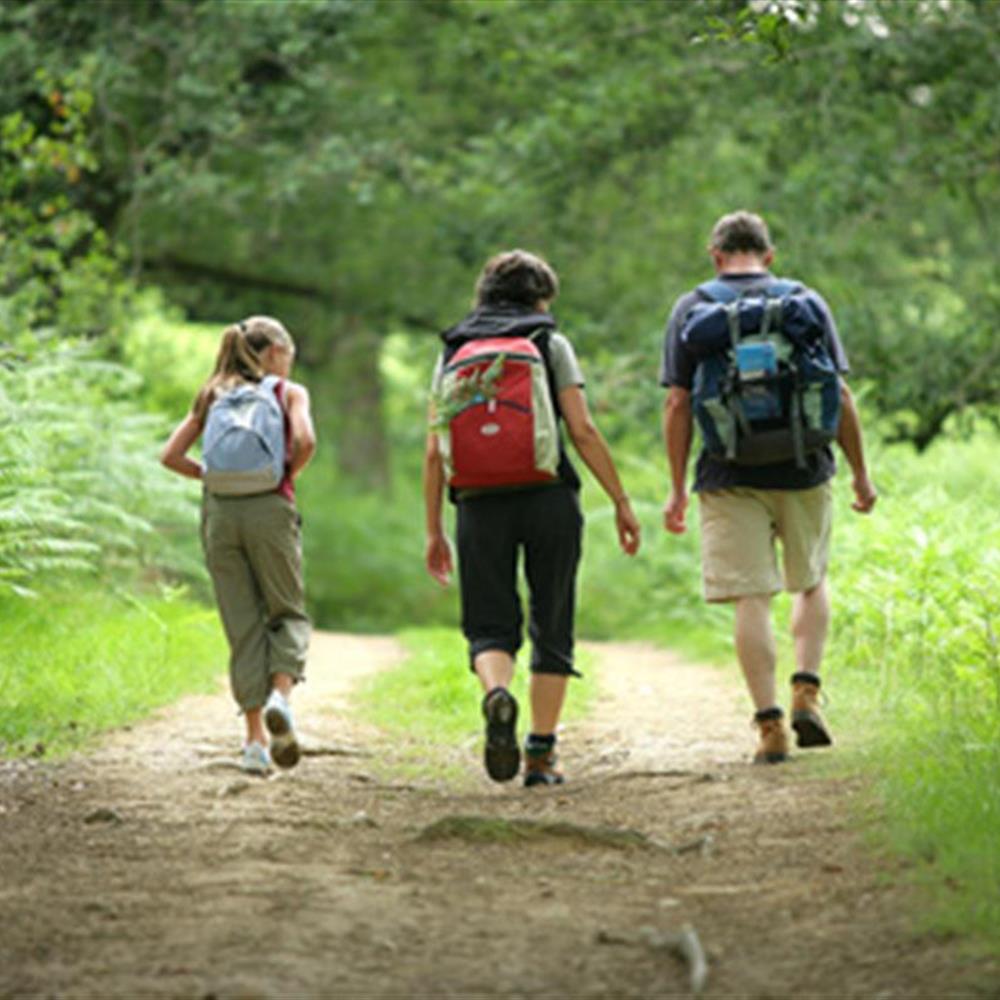 Hiking trails
