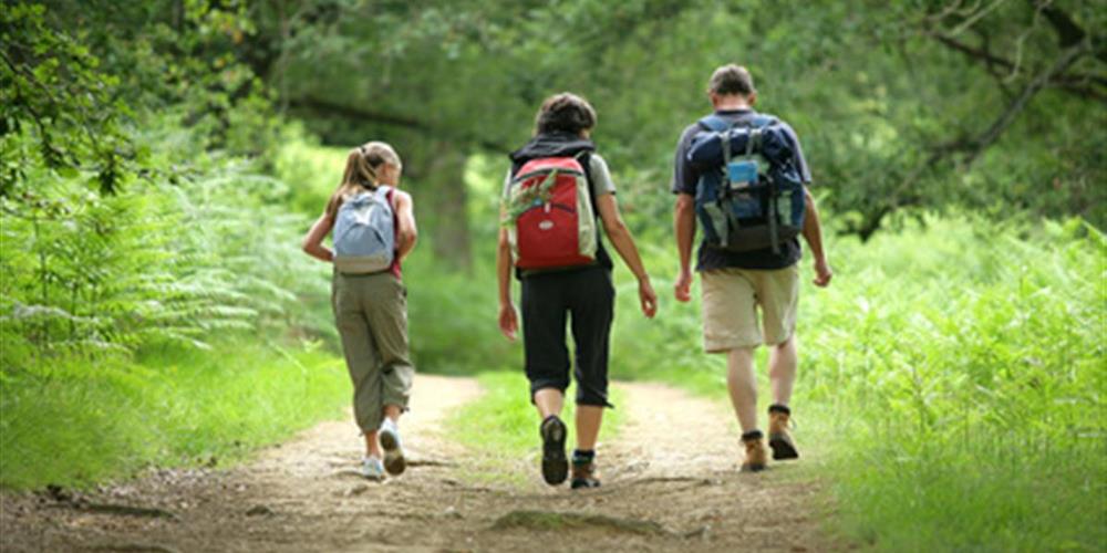 Hiking trails