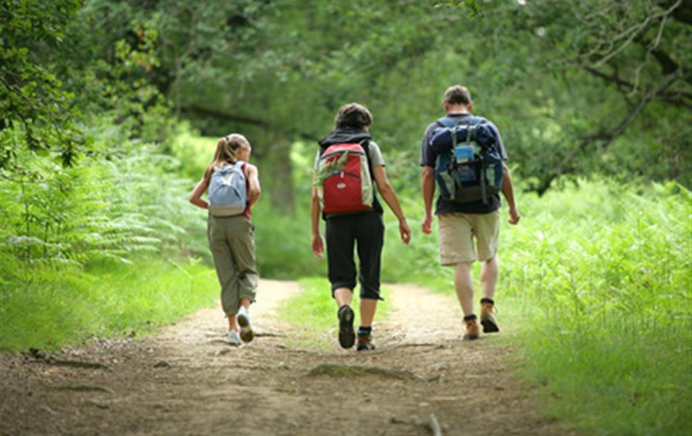 Hiking trails