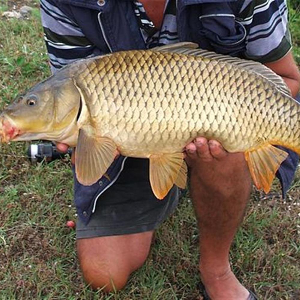 Fishing