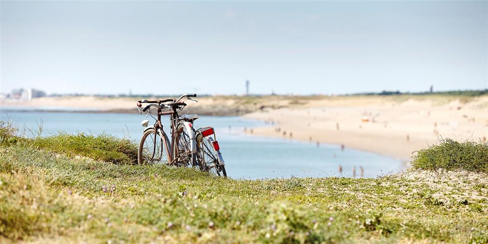 Campsite le Pont Rouge - St Gilles Croix De Vie